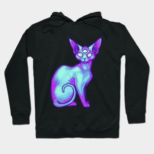 Galaxy Cat Hoodie